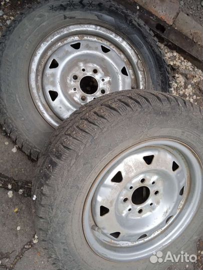 Cordiant Polar 175/70 R13