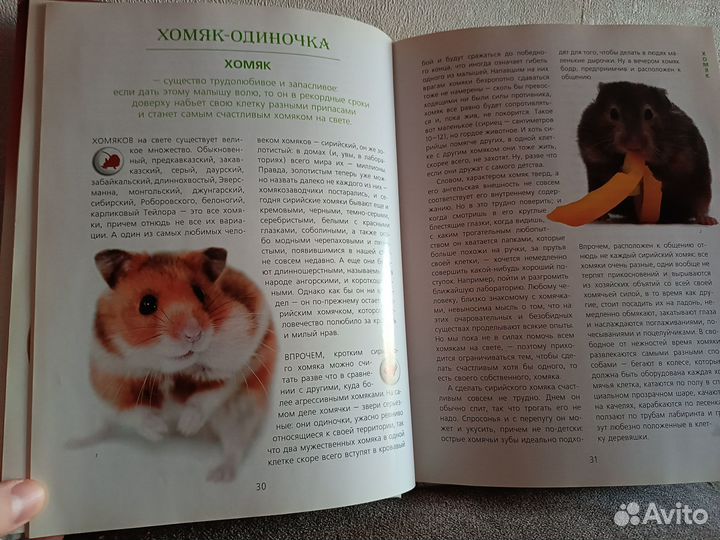 Волкова Неведомы зверюшки