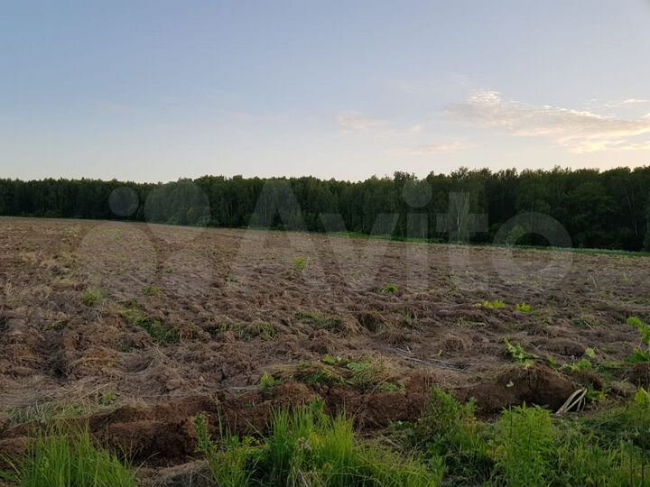 Участок 5,6 га (СНТ, ДНП)