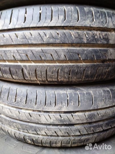 Rotalla Ice-Plus SR1 175/70 R14