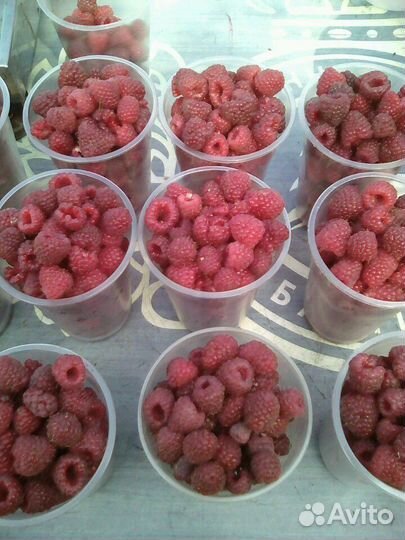 Малина ягода