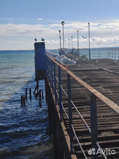 Абхазия. Индивидуальный тур на 3 дня