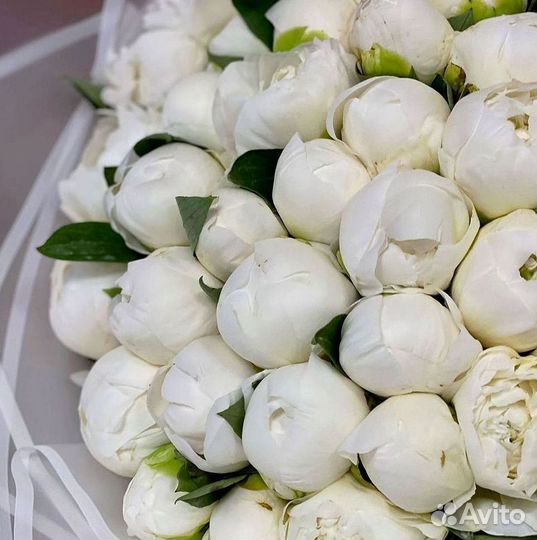 Пионы Букет пионов