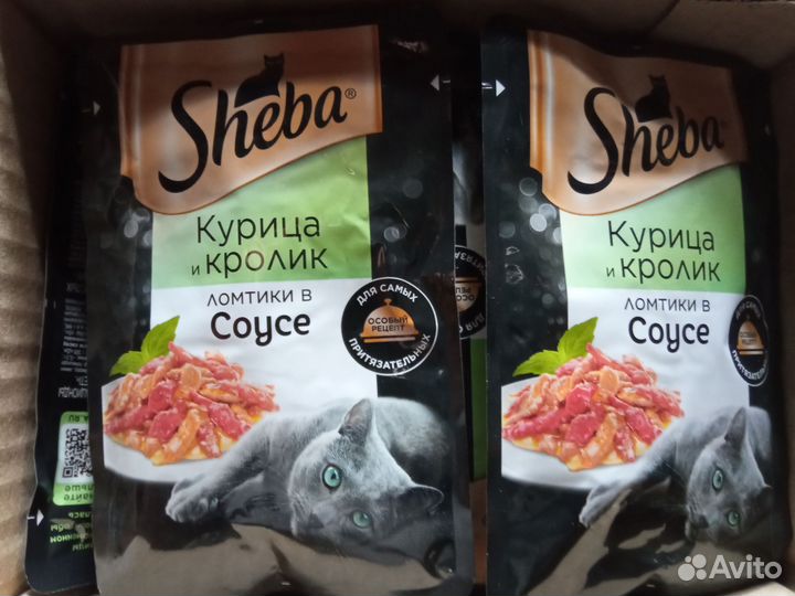 Корм влажный для кошек и собак разный