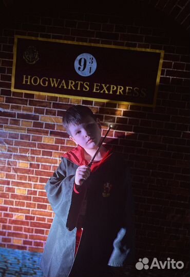 Праздник Гарри Поттер,выпускной,день рождения,шоу