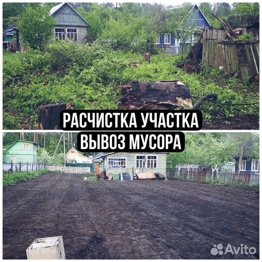 Спиливание, вырубка деревьев