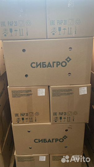 Куриное яйцо