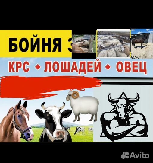 Крс