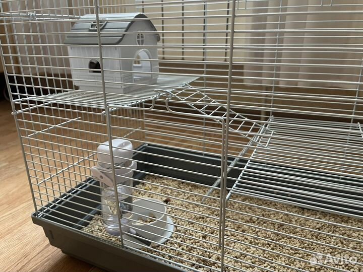 Крыса дамбо с большой клеткой