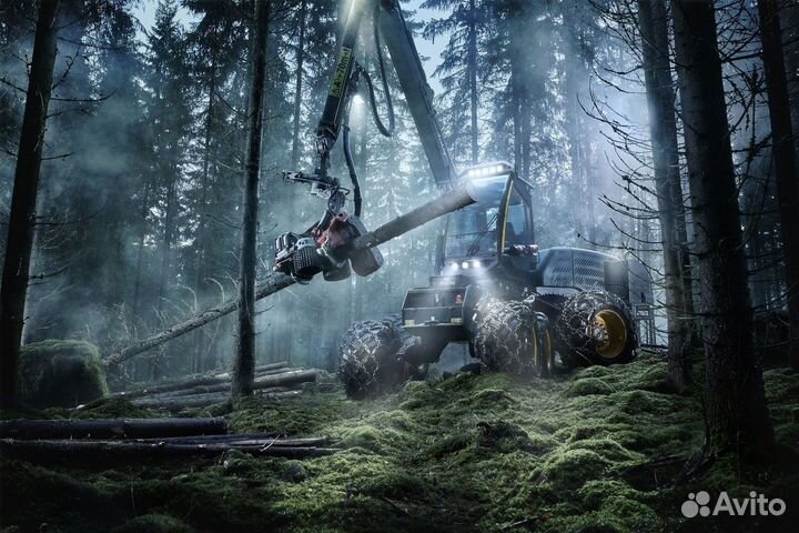 Услуги по лесозаготовке