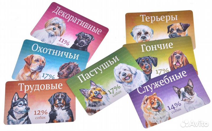 Прогулки с собаками (новая)