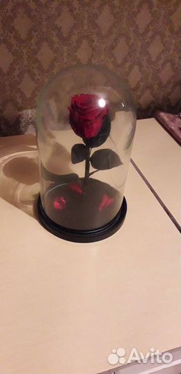 Живая роза В колбе