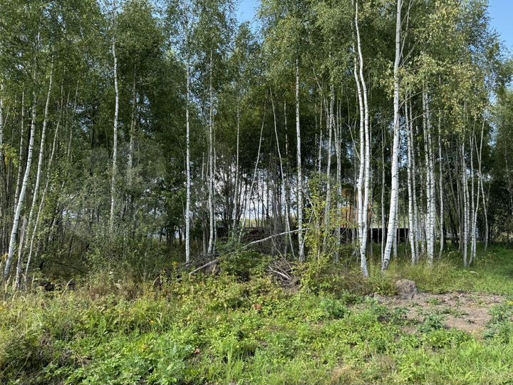 Участок 12 сот. (СНТ, ДНП)