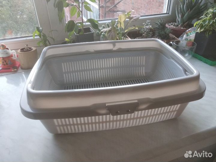 Огромный лоток для кошек