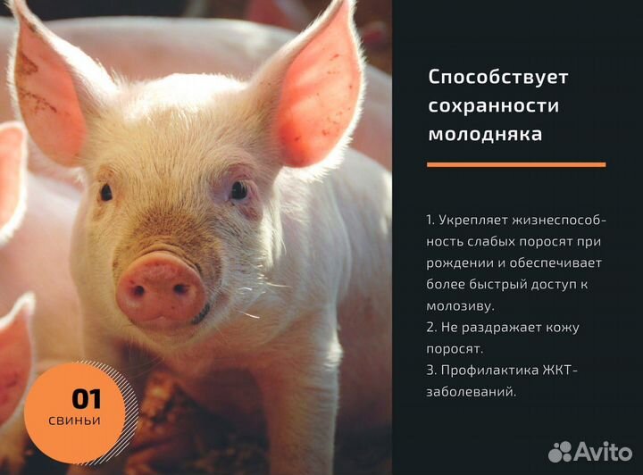 Осушитель для подстилки Sahara dry 3 кг