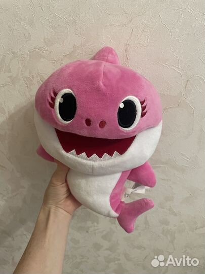 Акула baby shark