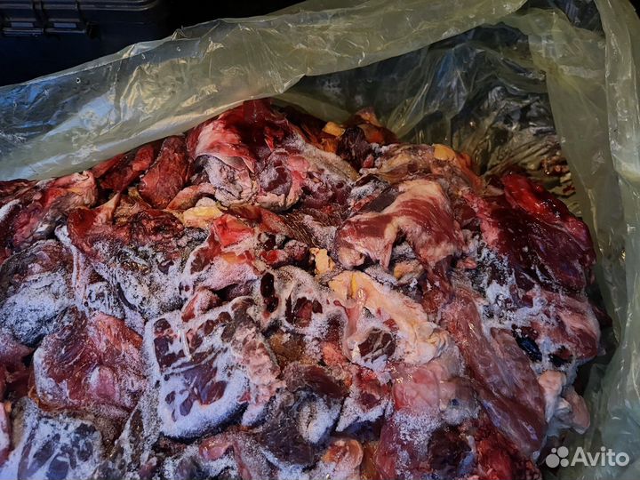 Мясо говядина для собак