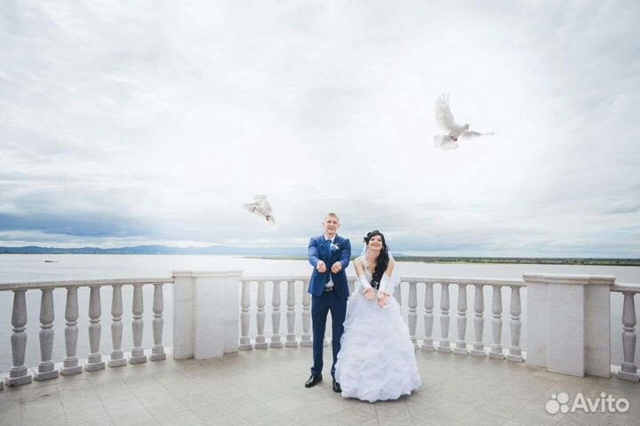 Белые голуби