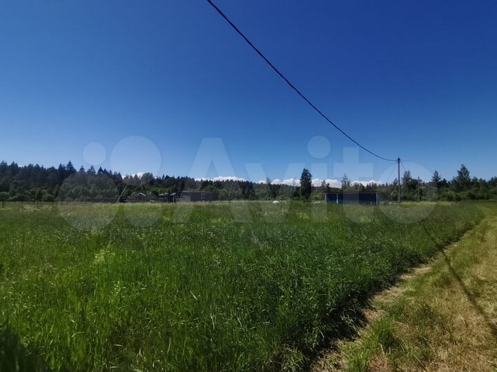 Участок 12 сот. (СНТ, ДНП)