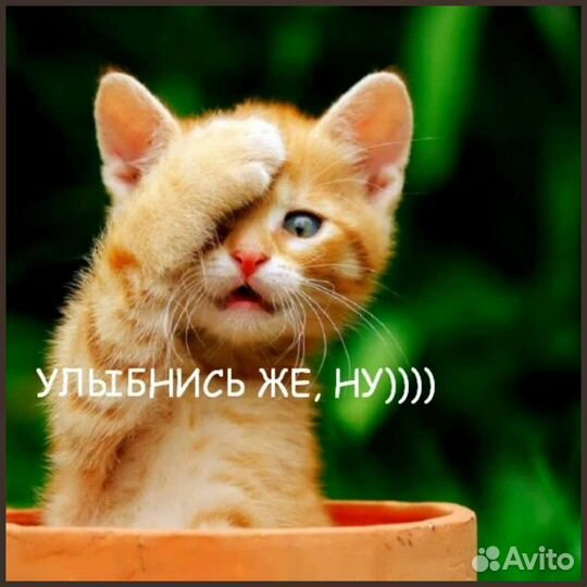 Афганский казан оптом