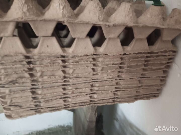 Ячейки для яиц