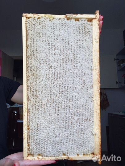 Свежий мёд 2023