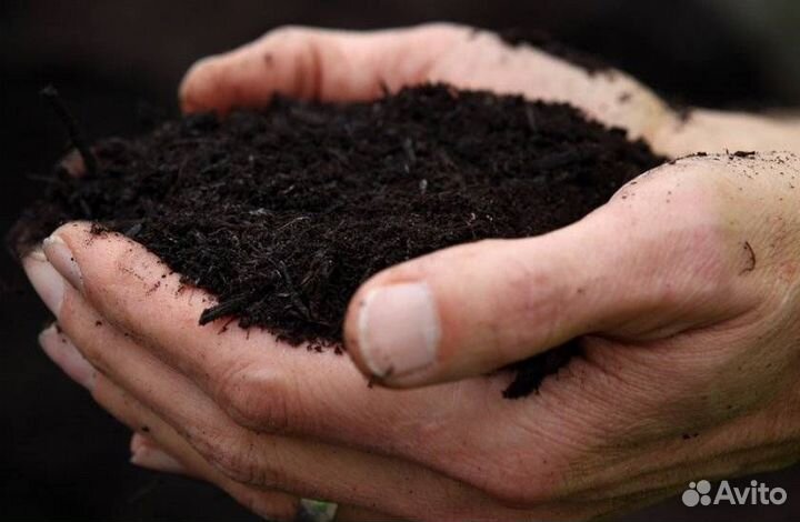 Земля в мешках на сапёрной