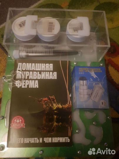 Муравейник