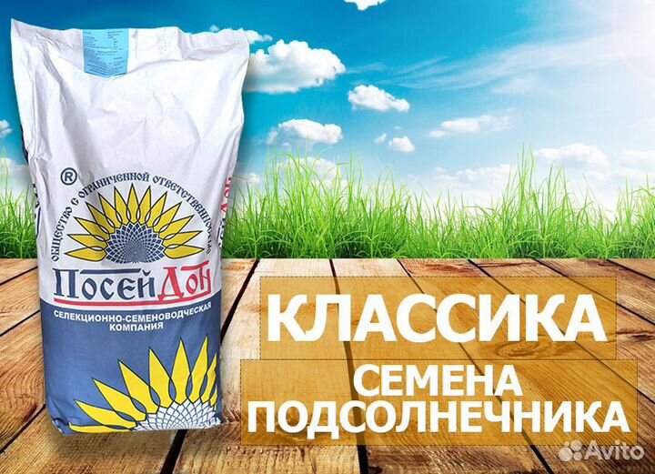 Семена гибрида подсолнечника Кайзер классика (F-G)