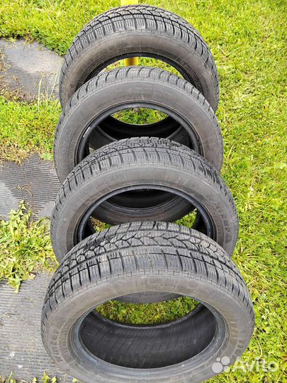 Tigar Winter 1 195/55 R15 85H