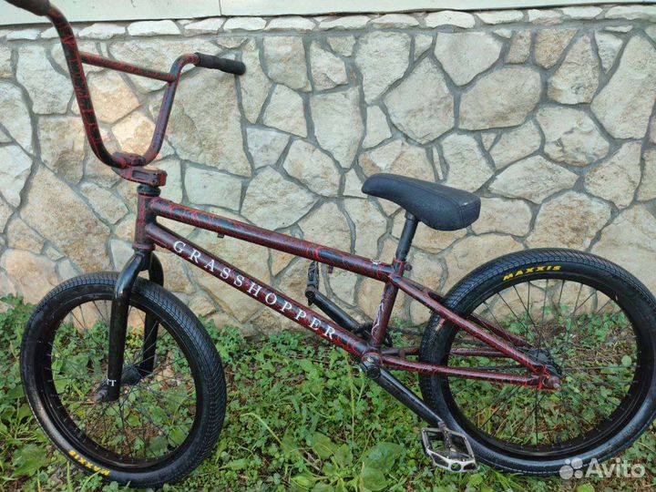 Bmx TT grasshopper