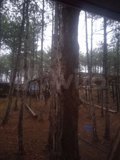 Участок 6 сот. (ИЖС)