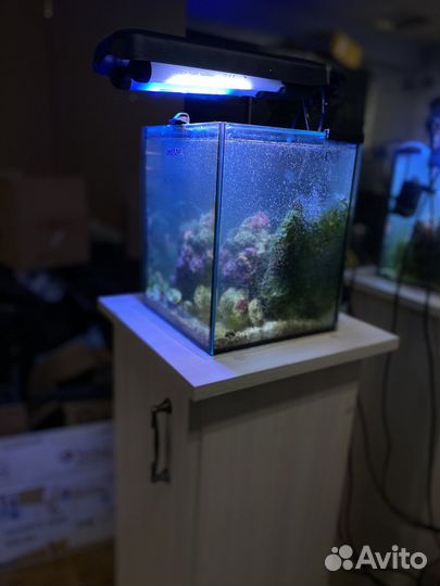 Морской Аквариум 10литров