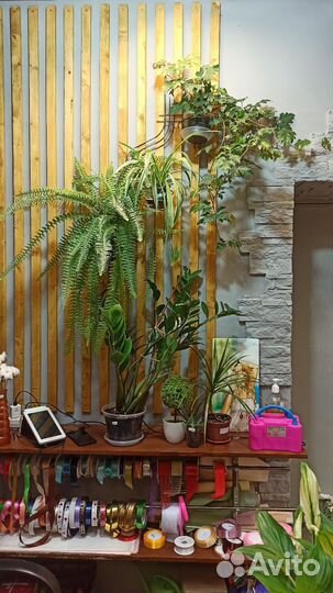 Цветочный магазин 