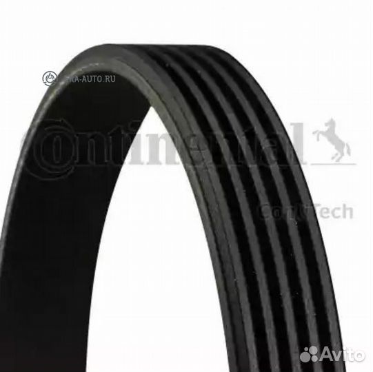 Contitech 5PK1815 Ремень поликлиновой