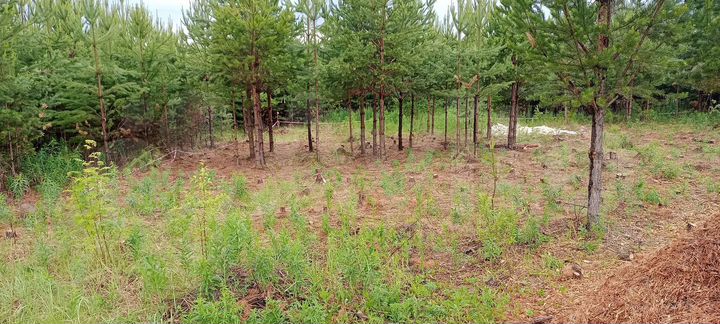 Участок 6 сот. (ИЖС)