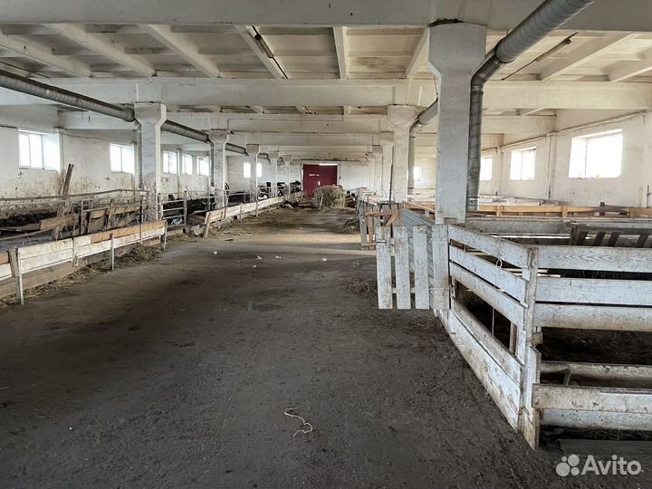 Фермерское хозяйство