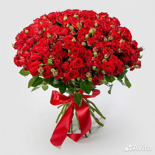 Розы Цветы Доставка 25 51 151 201 101 301 501 опт
