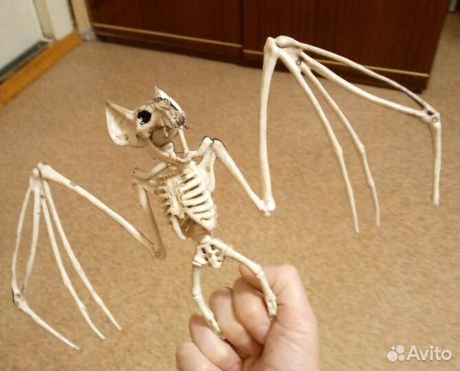 Летучая мышь, декор для дома