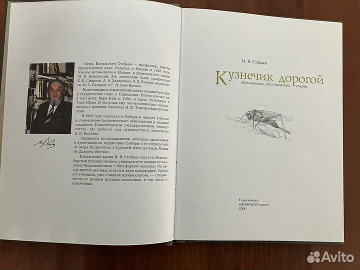 Кузнечик дорогой