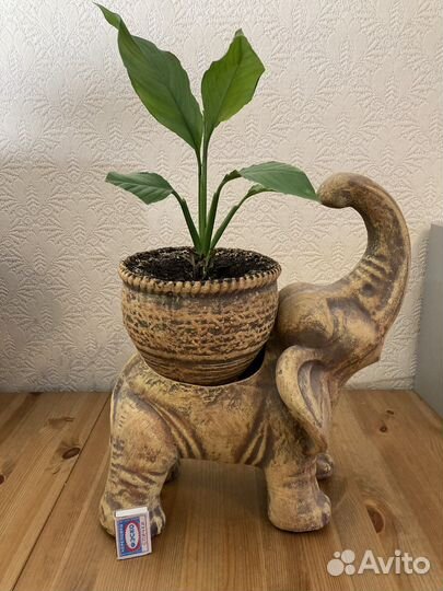 Слоник кашпо для цветов