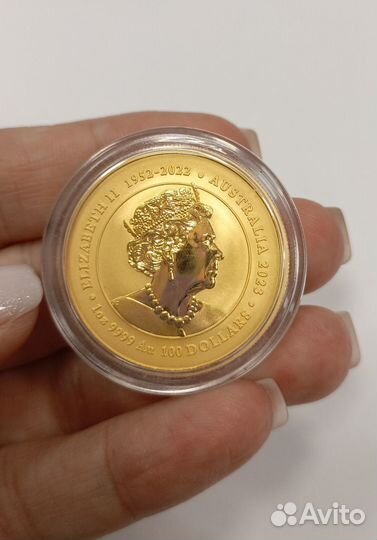 Золотая монета 