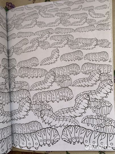 Раскраска антистресс дикие животные