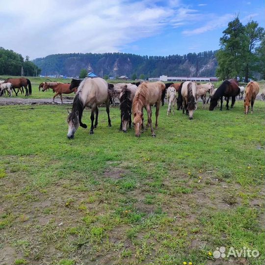 4-6 августа 3-х дневный Сплав по реке Белая