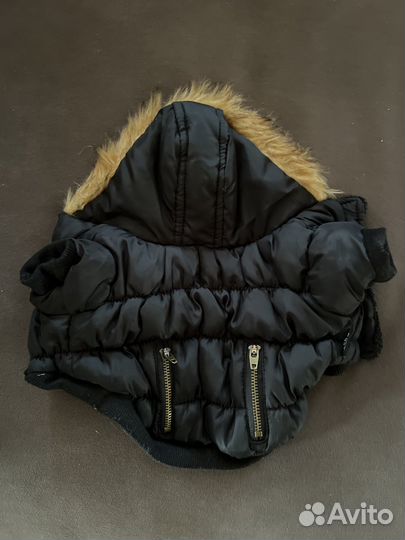 Куртка для йорка