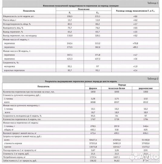 Перепела радонежские