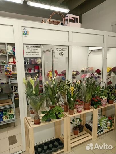 Продам готовый бизнес цветочный магазин