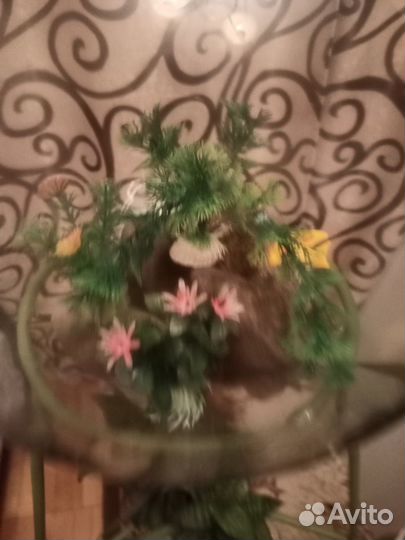 Аквариум круглый на стойке для крепления цветов