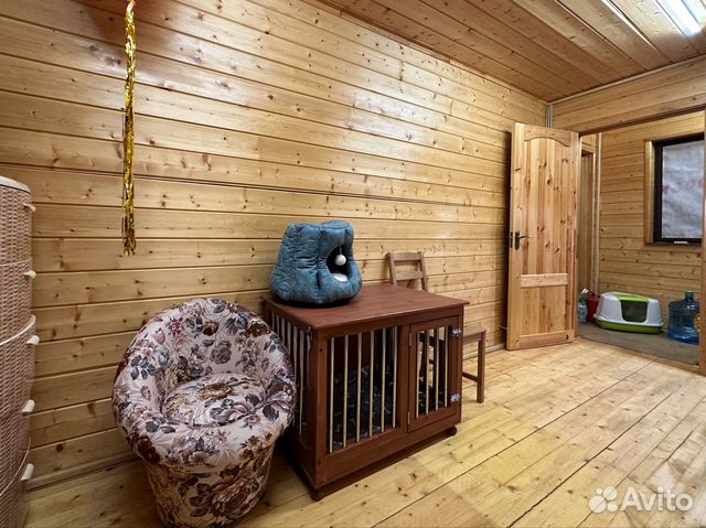 Передержка зоогостиница кошек и собак, доставка