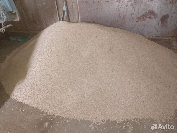 Горох кормовой